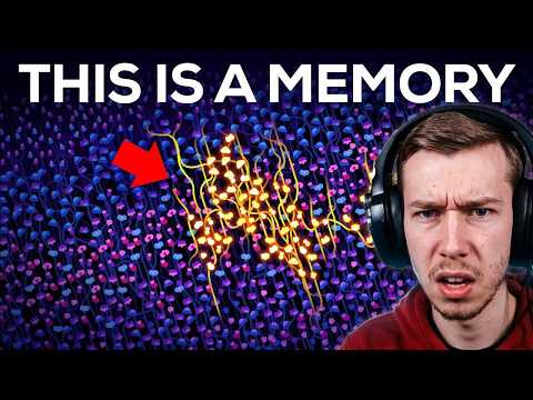 What Are Memories? | Kurzgesagt REACTION!