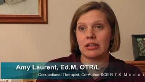 Interpreting Challenging Behaviors