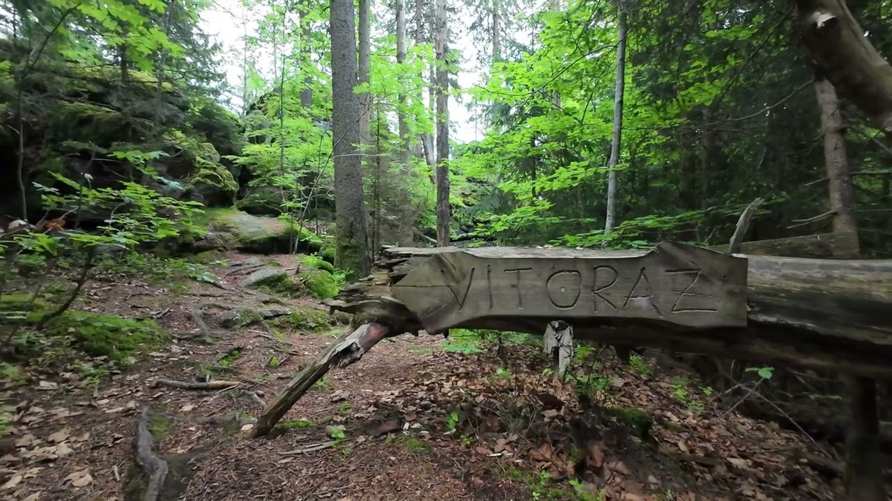 NS Vysoká  - Novohradské hory