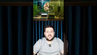 Herkes Kullanıyor Ama Gerçeği Bilmiyor #seramikhalka #akvaryum #aquascape #filtre #dışfiltre #sump