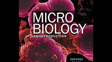 Practical Applications of Immunology | Chapter 18 - Microbiology: An Introduction