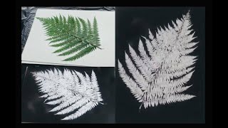 DIY: Leaf Silhouette Wall Art {MadeByFate} #522