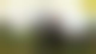 Body Painting Artist Disguises People in Plain Sight