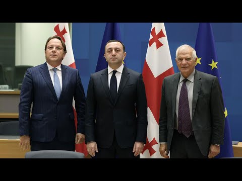 როგორ გაიგეს პოლიტიკოსებმა გზავნილები ევროკავშირიდან