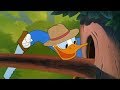 ᴴᴰ Pato Donald Y Chip Y Dale Dibujos Animados Pluto Mickey Mouse Episodios Completos Nuevo 2019