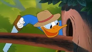 ᴴᴰ Pato Donald Y Chip Y Dale Dibujos Animados - Pluto Mickey Mouse Episodios Completos Nuevo 2019