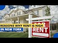 Understanding High Rent in New York