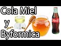 Bebederos Byformica y Receta de Cola Miel