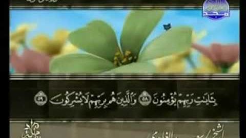 القرآن الكريم   الجزء الثامن عشر   تلاوة سعد الغامدي 18