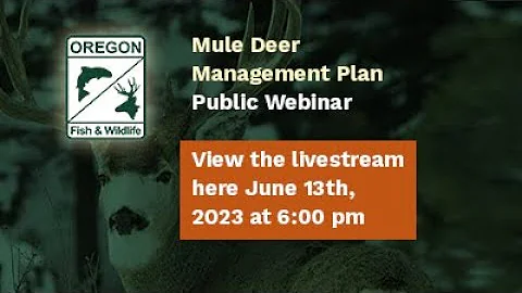 Mule Deer Management Plan Update 2023