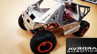 Avrora Robotics на что способна