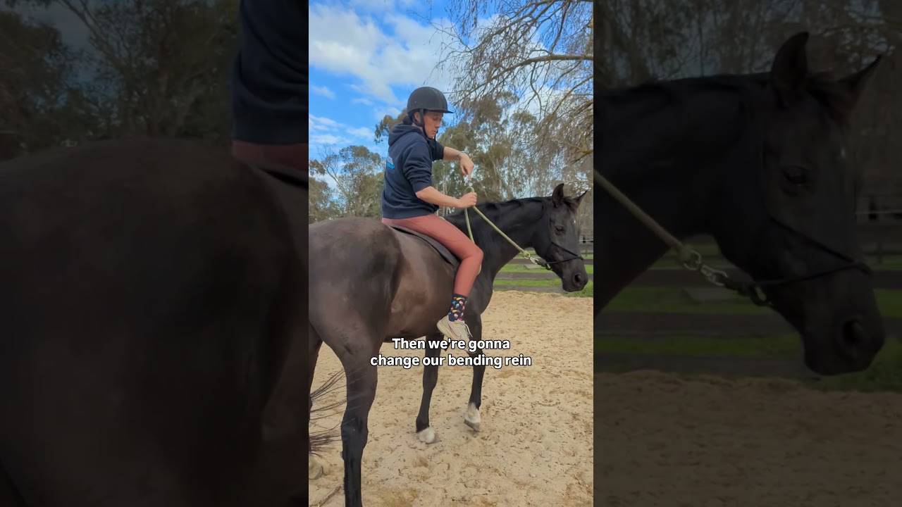 Если бы у вас были только эти 6 сигналов, вы, вероятно, смогли бы ездить на своей необъезженной л...