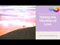 ConsciousCafe Conference 2016: Raising the Vibration of Love - BUSINESS PANEL