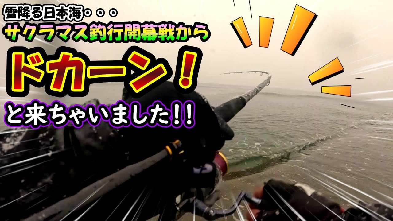 【サクラマス開幕！】雪降る日本海でドカーン！と来ました！