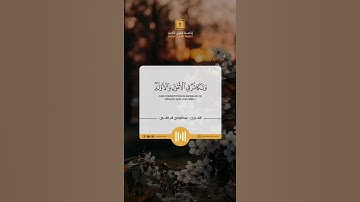 تلاوة بصوت القارئ الشيخ عبدالولي الاركاني