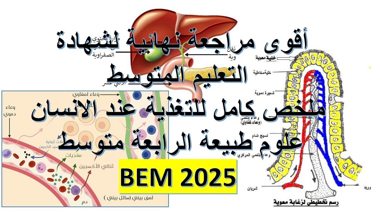 أقوى مراجعةنهائية لشهادة التعليم المتوسط ملخص كامل للتغذية عند الانسان كامل علوم طبيعية  رابعة متوسط