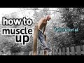 Muscle up tutorial for beginners with progressions