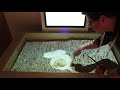 Bac  sable numrique  fouilles archologiques