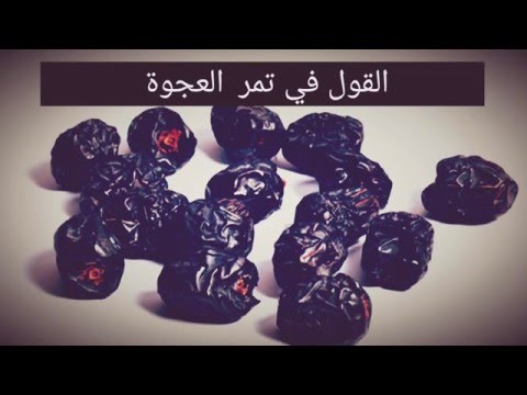القول في تمر العجوة لفضيلة الشيخ صالح بن عواد المغامسي