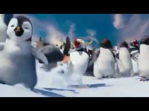 Видео: Японский беглый пингвин страдает от розового глаза
