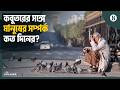 কবুতরের সঙ্গে মানুষের সম্পর্ক: নতুন গবেষণায় কী উঠে এলো? | History of Pigeons | The Business Standard