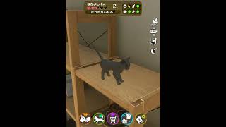 with my cat 猫といっしょにくらそう screenshot 2