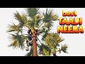 Villager's Nectar Fresh Palm Sap | How to Get Pure Palm Juice | Palm Tree Climbing Machine