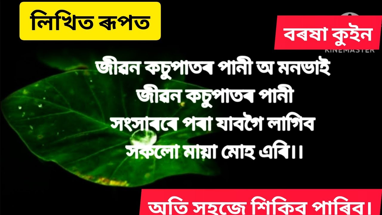Jibon kosu pator জীৱন কচু পাতৰ পানী barasha queen dihanaam tutorial