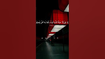 سورة المومنون (ولإن أطعتم بشرا مثلكم)#سورة المومنون#سورة #قرآن#quran #راحه_نفسيه