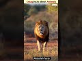 Crazy Facts About Animals 🐸🦘 #facts #amazingfacts #factsinhindi #facts #viralvideo #trendingshorts