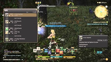 FINAL FANTASY XIV: A Realm Reborn - Weapons of a Feather