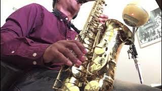 Diana Ross - When You Tell That You Love Me - (Sax Cover by James E. Green)