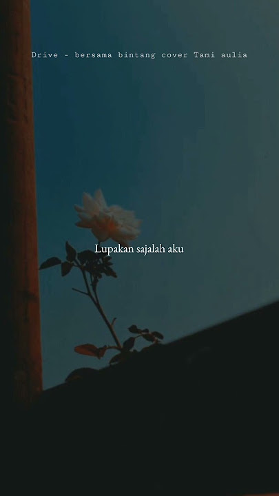status wa bersama bintang - Drive cover Tami aulia #shorts