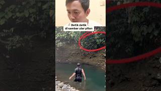 Detik detik di sambar ular piton ‼️ #foryou #reaction #serem #shorts #shortvideo #viral