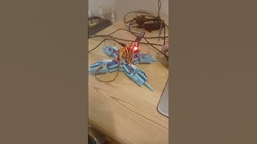 3d printed spider robot #diy #robotics