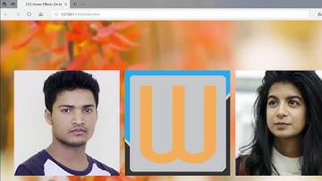 Css Image Hover Effects  How To Create Image Hover Overlay Effects Zoom in Zoom Out Image