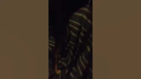 Female dog humming a female girl