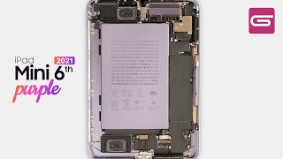 iPad Mini 6 Teardown | Purple $$ to Repair..