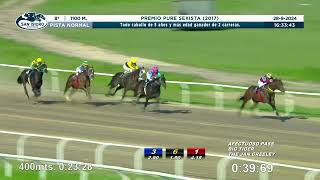 Vidéo de la course PMU PRIX PURE SEXISTA 2017