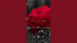 Tak ikhlasno - happy asmara || story wa