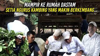 STOPPING AT THE DASTAM HOUSE | FAITHFULLY TAKING CARE OF GOATS THAT ARE GROWING