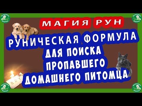 МАГИЯ РУН | РУНИЧЕСКАЯ ФОРМУЛА ДЛЯ ПОИСКА ПРОПАВШЕГО ДОМАШНЕГО ПИТОМЦА(Собака,Кошка,Попугай..).♦☮☸