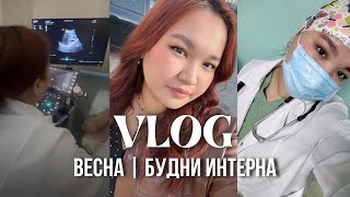 : VLOG |  - |    |  