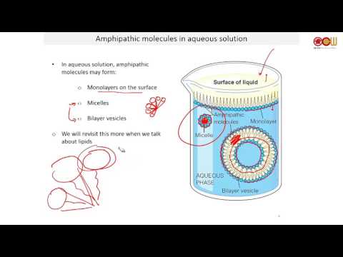 Lec 04 Ionic Equilibria 