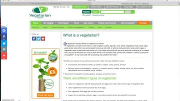 Virtual Writing Tutor