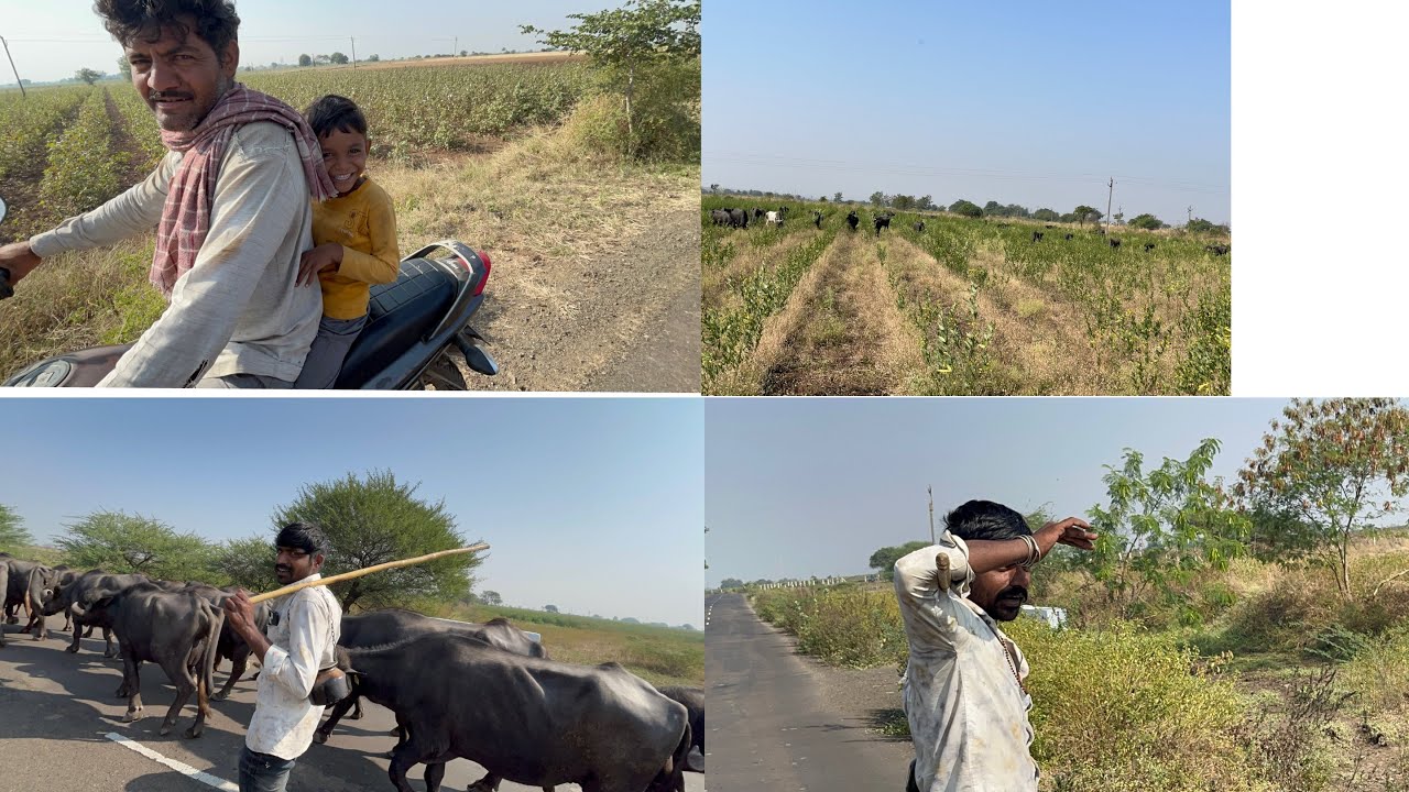 મોજ માં આવી ગયા ને દુહા ચાલુ કરી દીધા 