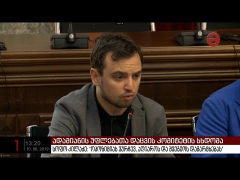 ადამიანის უფლებათა დაცვის კომიტეტის სხდომა კამათის ფონზე მიმდინარეობს