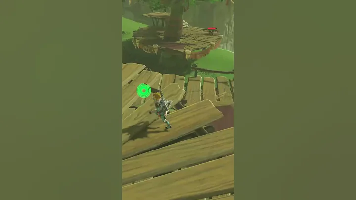 You Know You Have Good Weapons In (BOTW) When You Can Do This!
