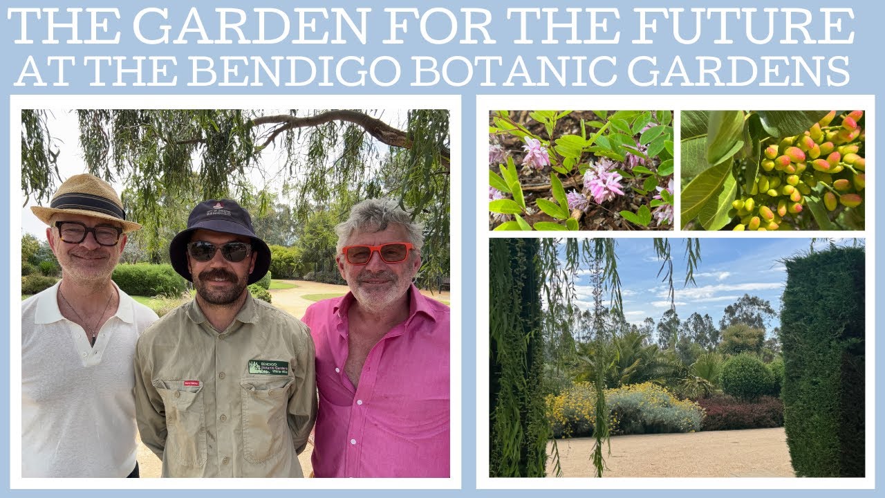 Экскурсия по саду: Ботанический сад Бендиго «Сад будущего»