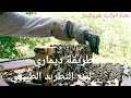 طريقة ديماري لمنع التطريد الطبيعي وتجييش النحل لتخزين العسل الجزء 1 